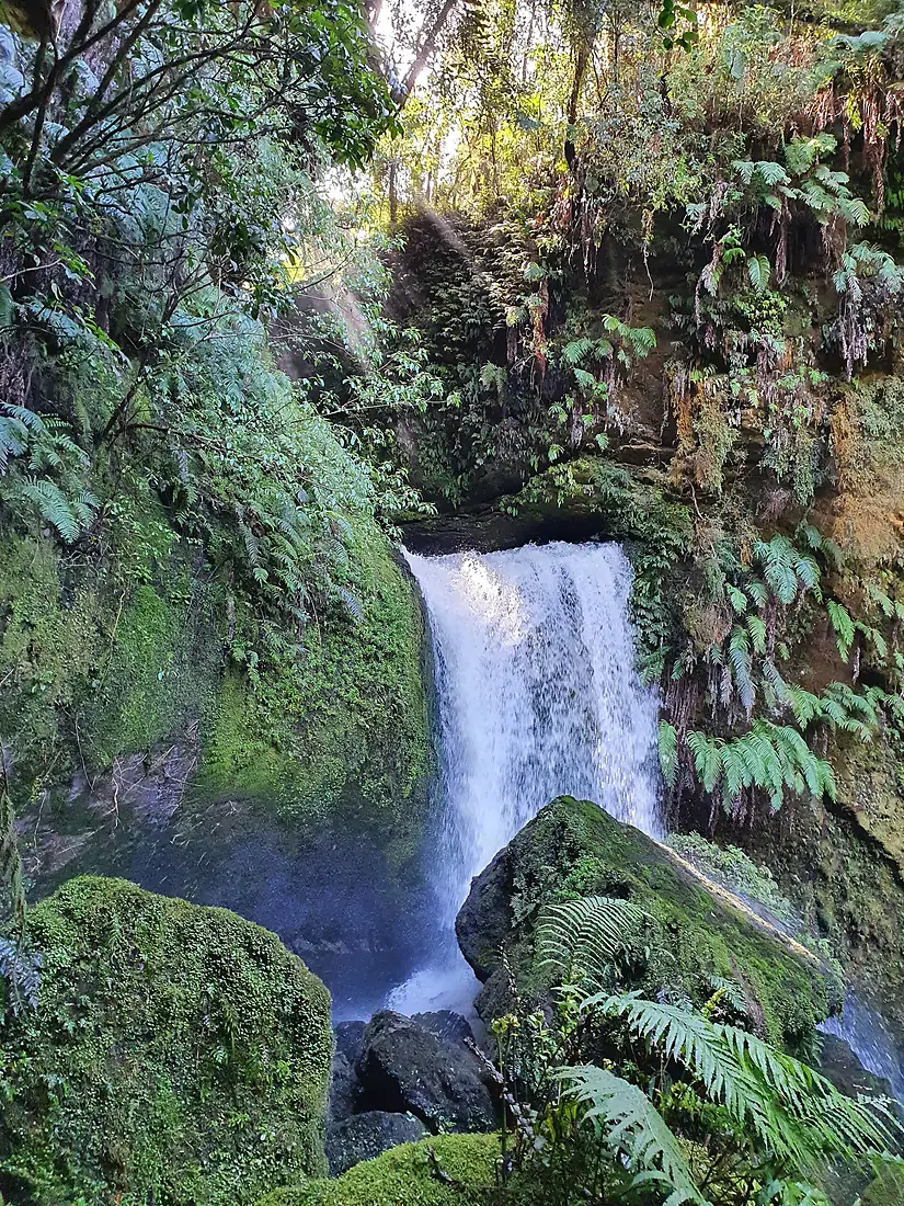Tawarau River 2