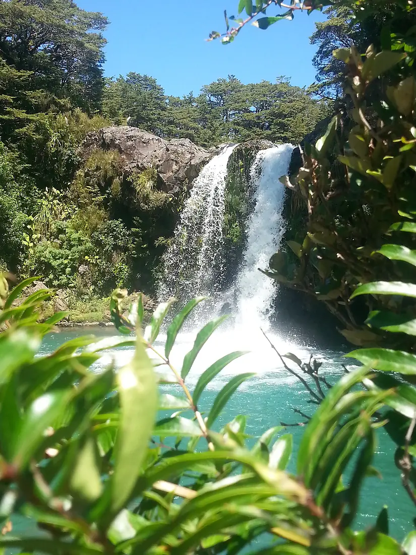 Tawhai Falls, Jan 2014