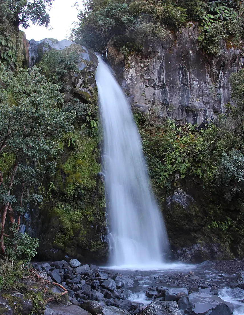 Dawson Falls, New Zealand, February 2016 09