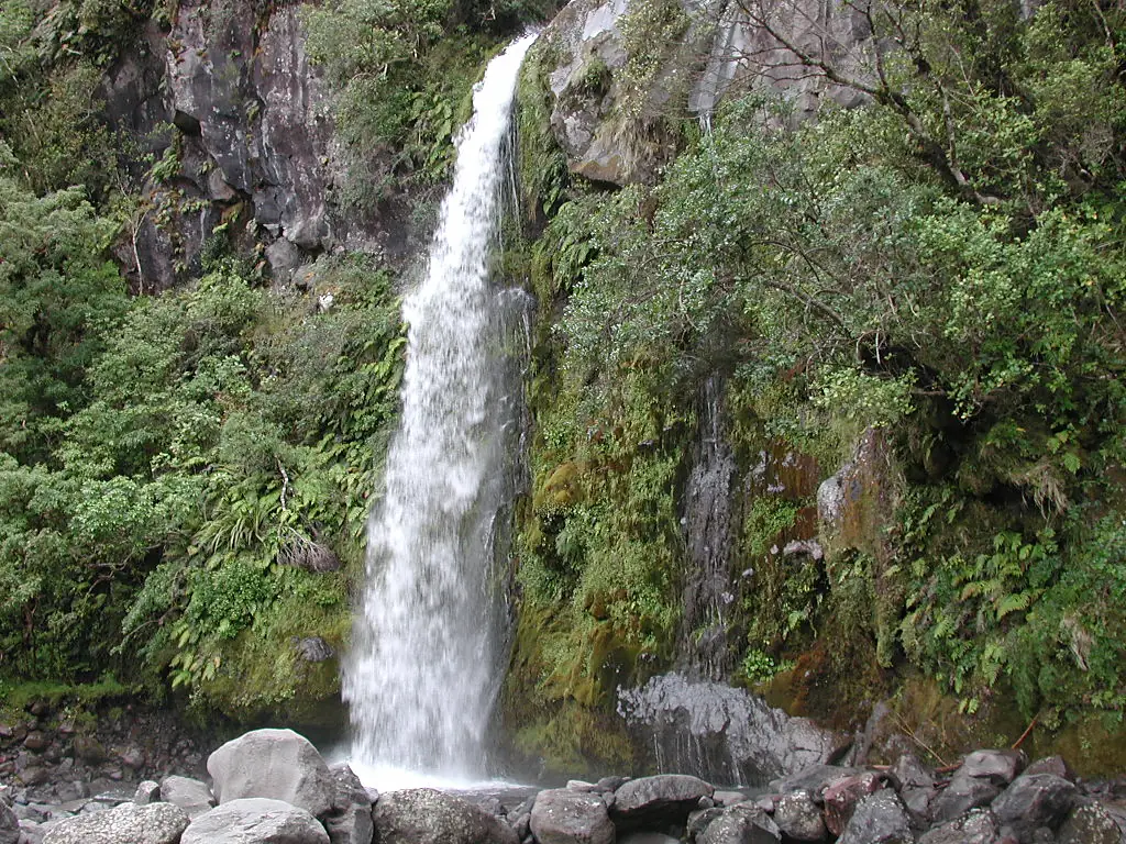 Dawson Falls from across stream