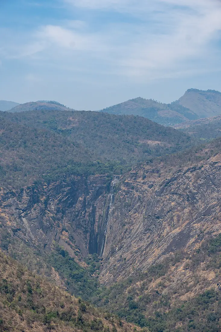 Kodaikanal Wildlife Sanctuary-WUS04576