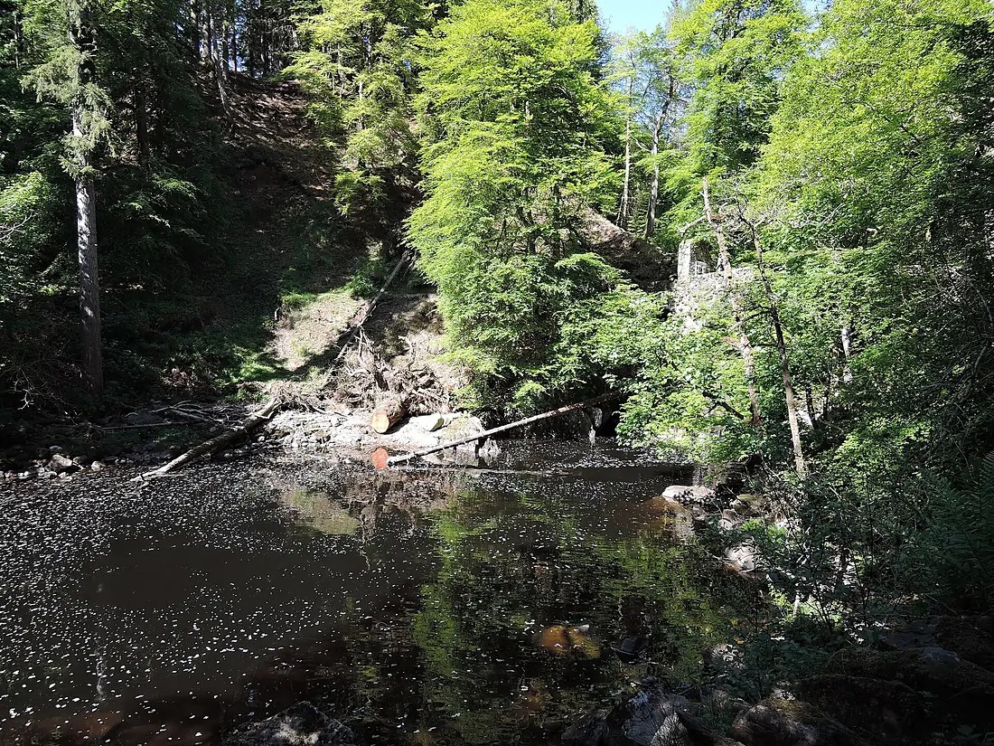 Dunkeld, The Hermitage, River Braan, 01
