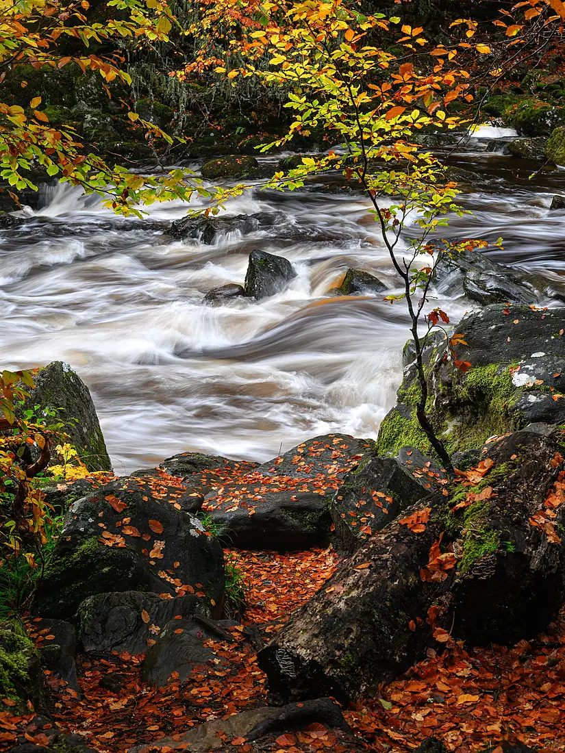 Rushing river above the waterfall at the Hermitage