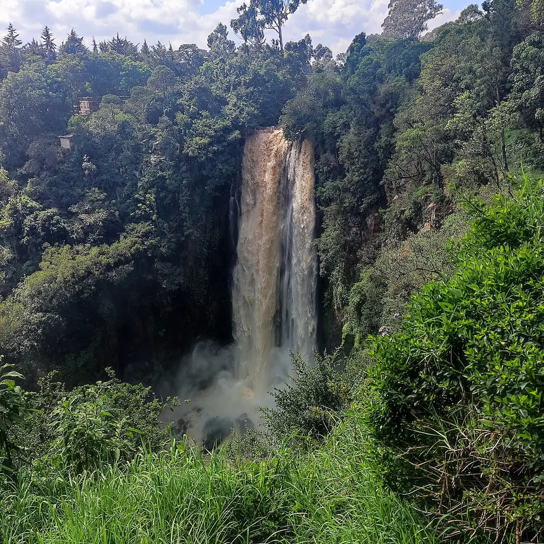 Thompson falls (41394)