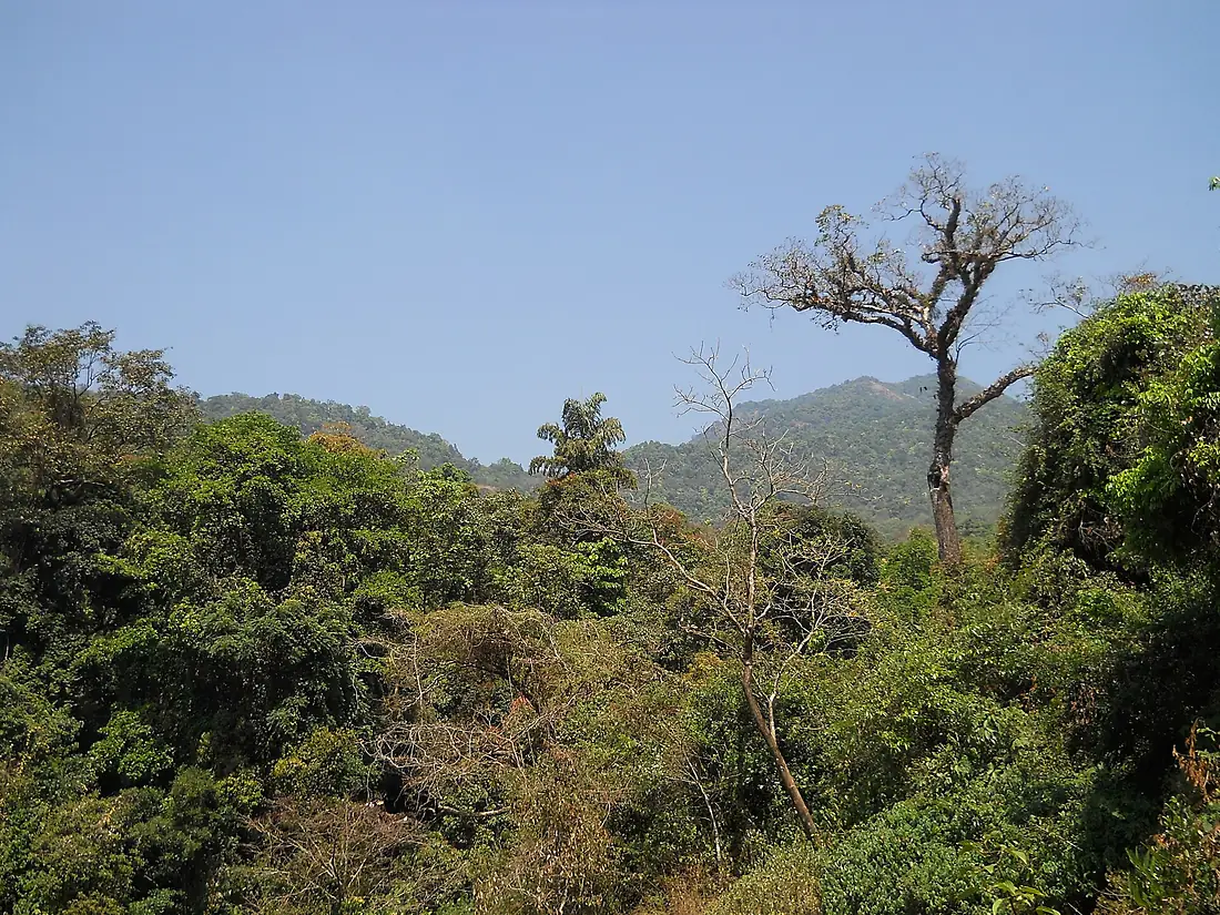 Thusharagiri 6