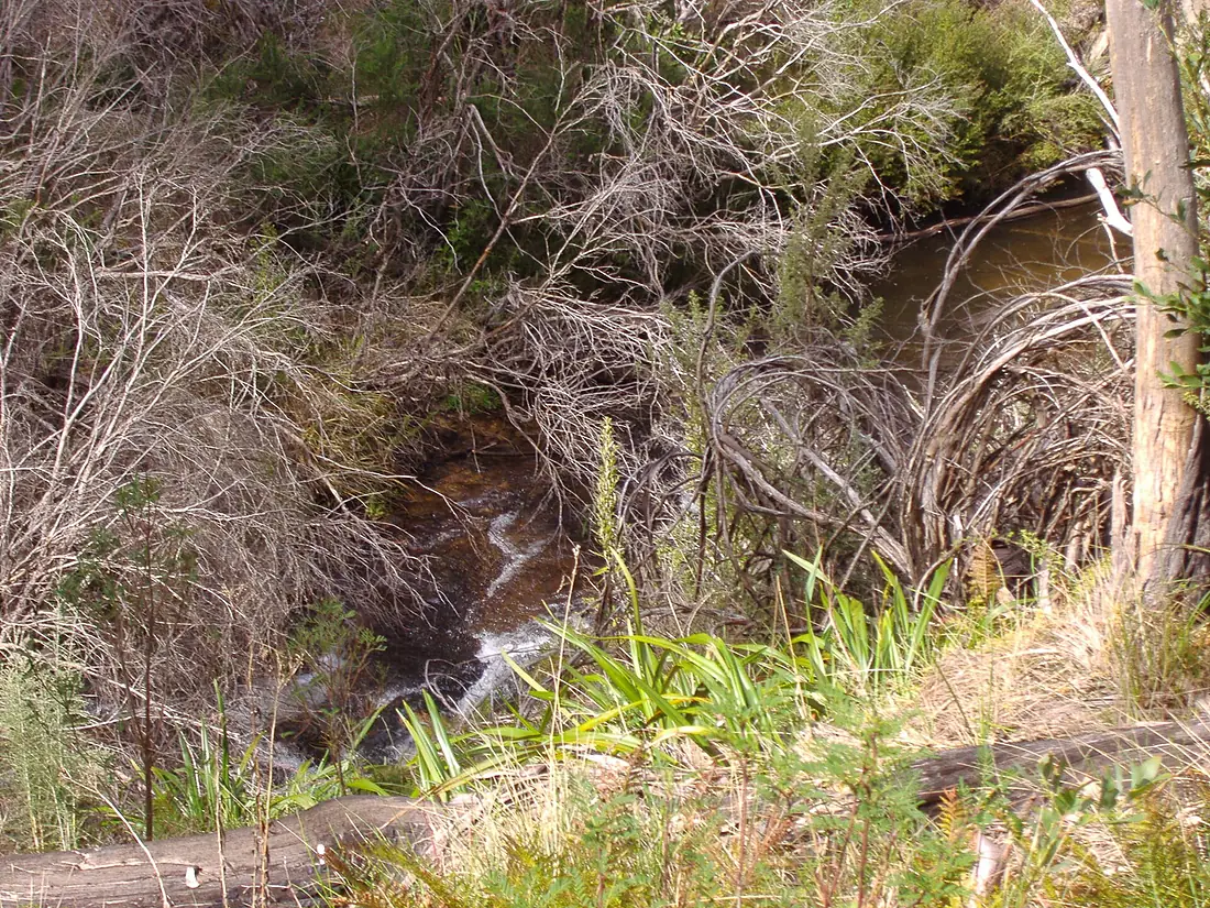 Tin mine falls above