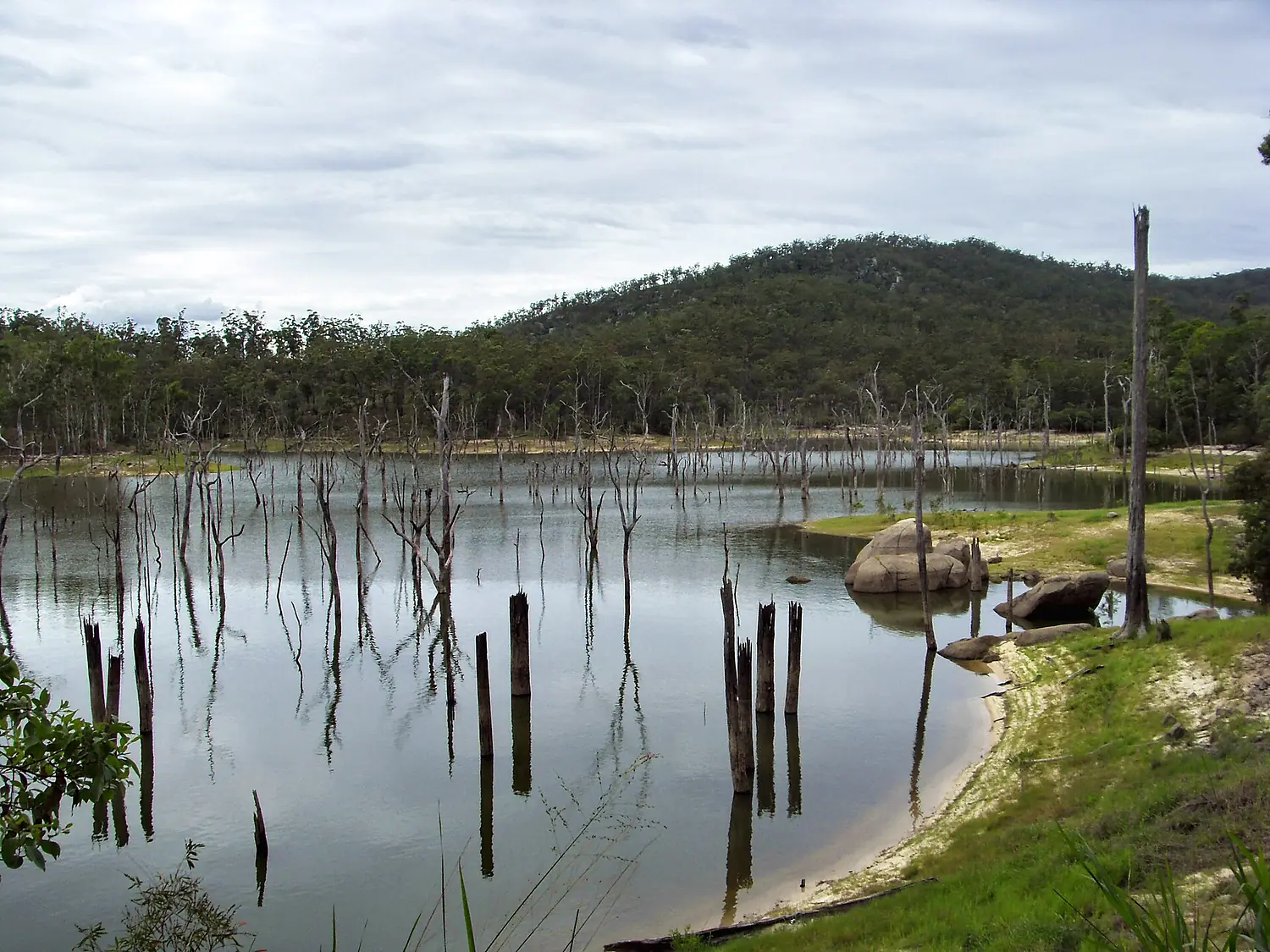 Lake Tinaroo - panoramio