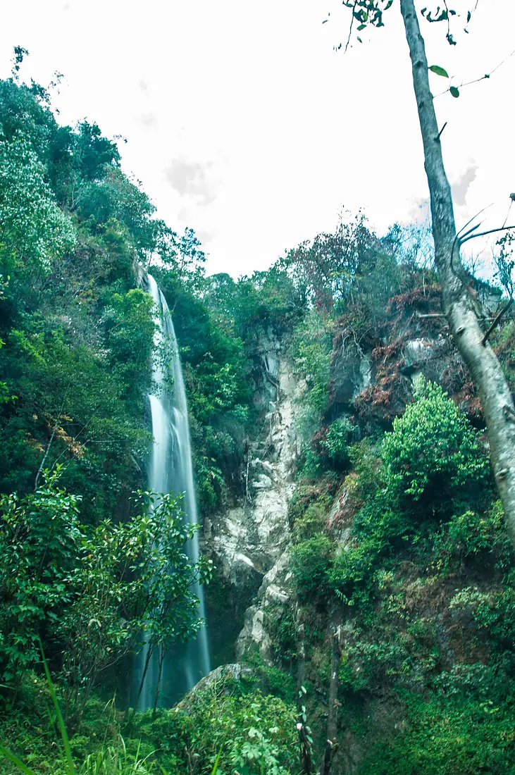 Todke falls 11
