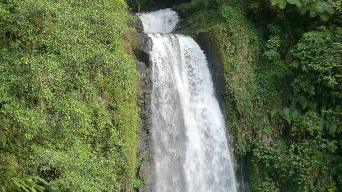 Dominica (Caribbean) - Trafalgar Falls - double-falls (32724044870)