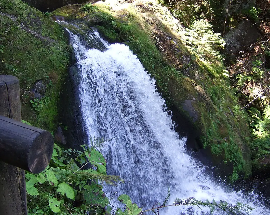 DE Triberg Wasserfall 20080830 004