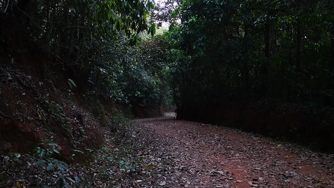 ... towards Unchalli Falls (8286225877)