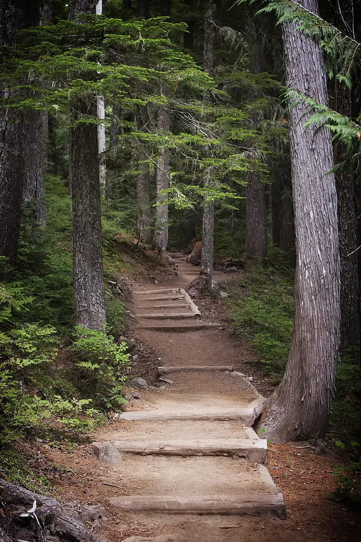 MRNP — Van Trump Park Trail, 001