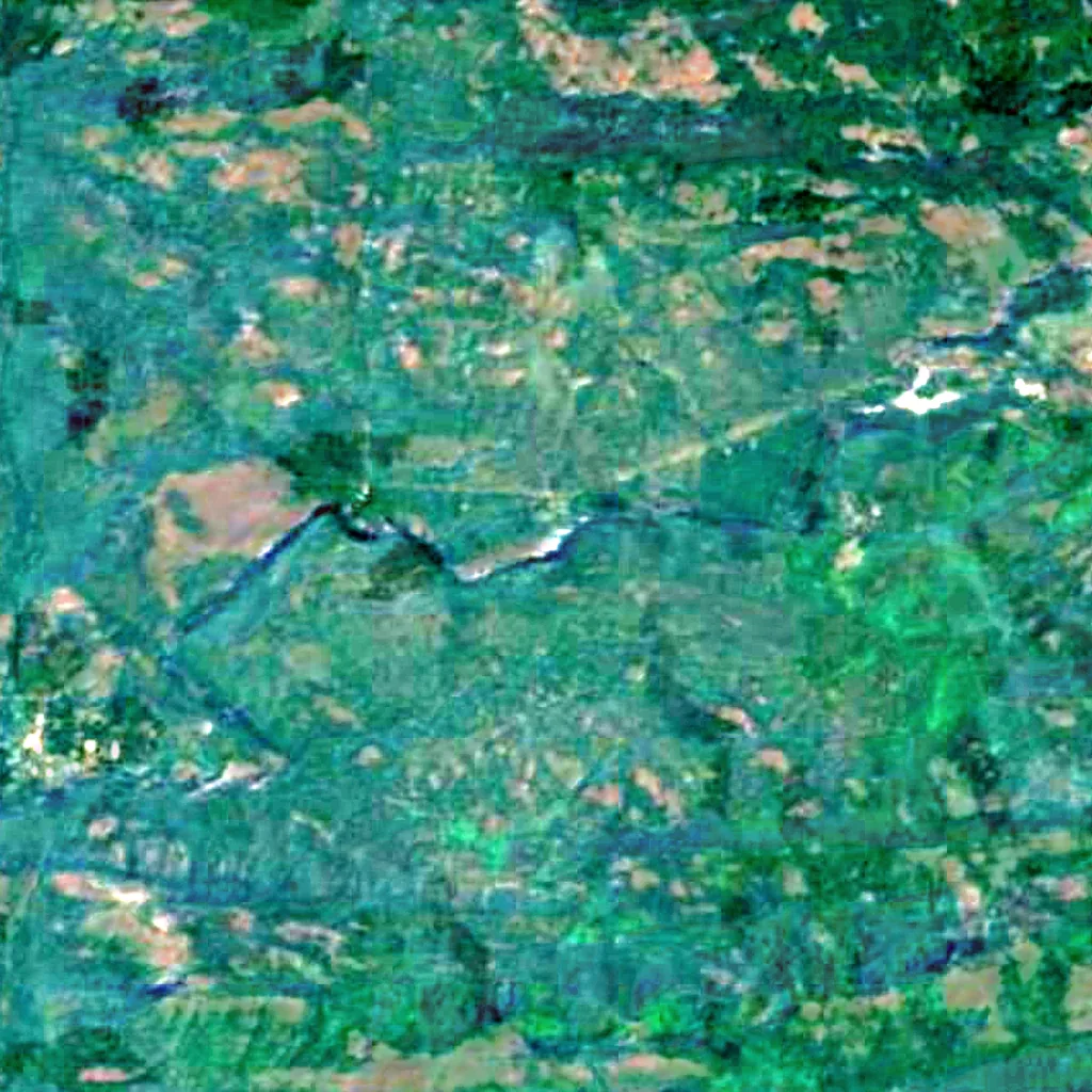 Vazhachal Falls seen from above (Sentinel-2)