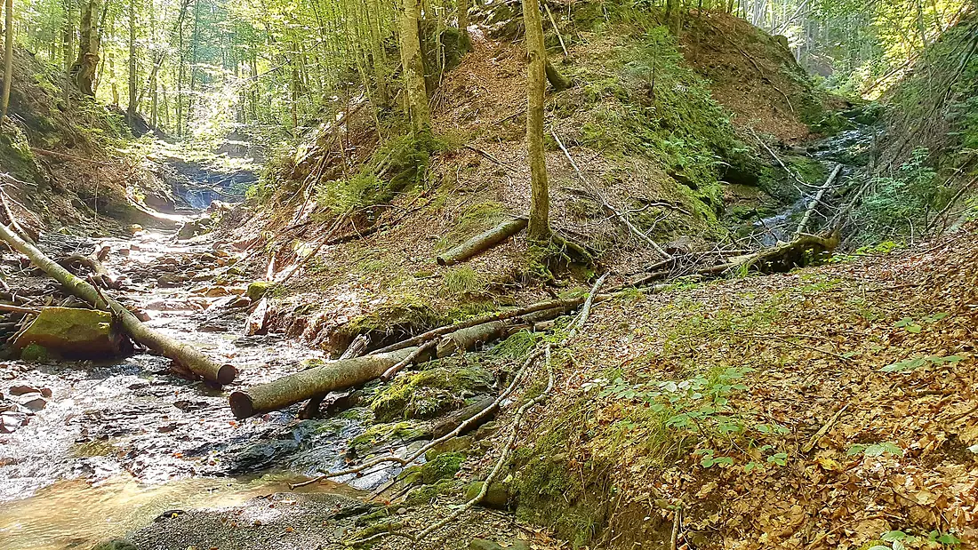 Водоспад Волійці здалеку