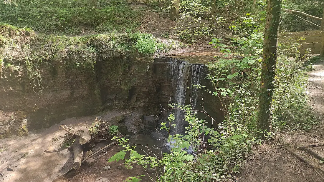 Murrhardt Vorderer-Hörschbach-Wasserfall 2025-04-29a