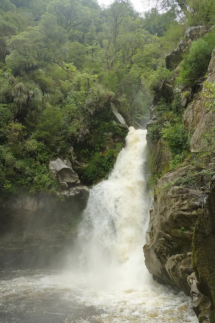 Wainui Falls in full flow