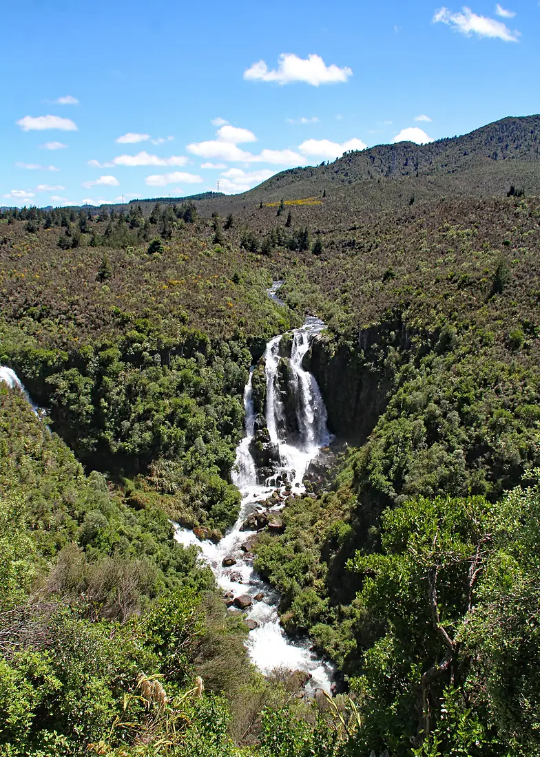 Waipunga Falls 1 (31102772553)