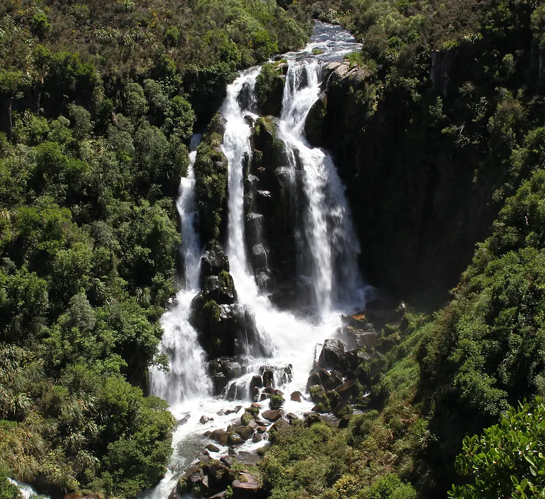 Waipunga Falls 2 (31912040835)
