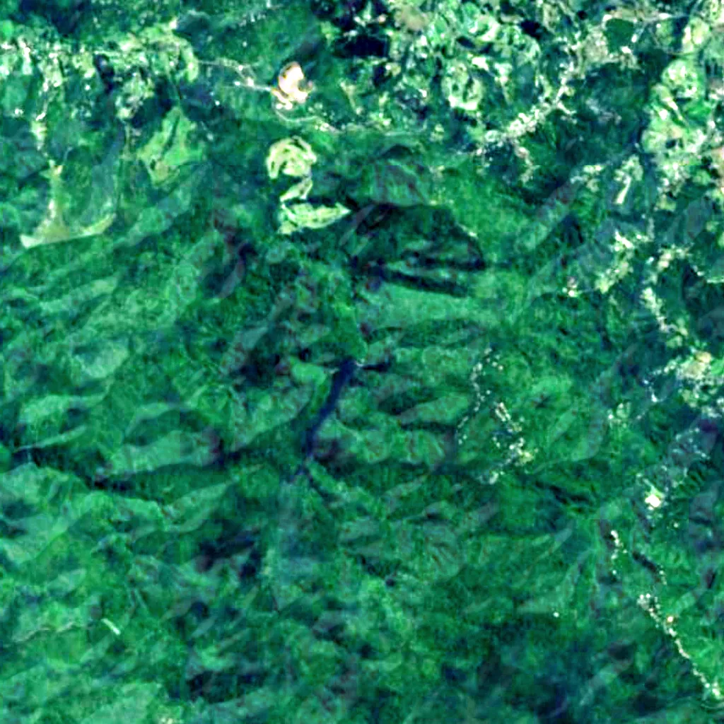 Waitākere Falls seen from above (Sentinel-2)