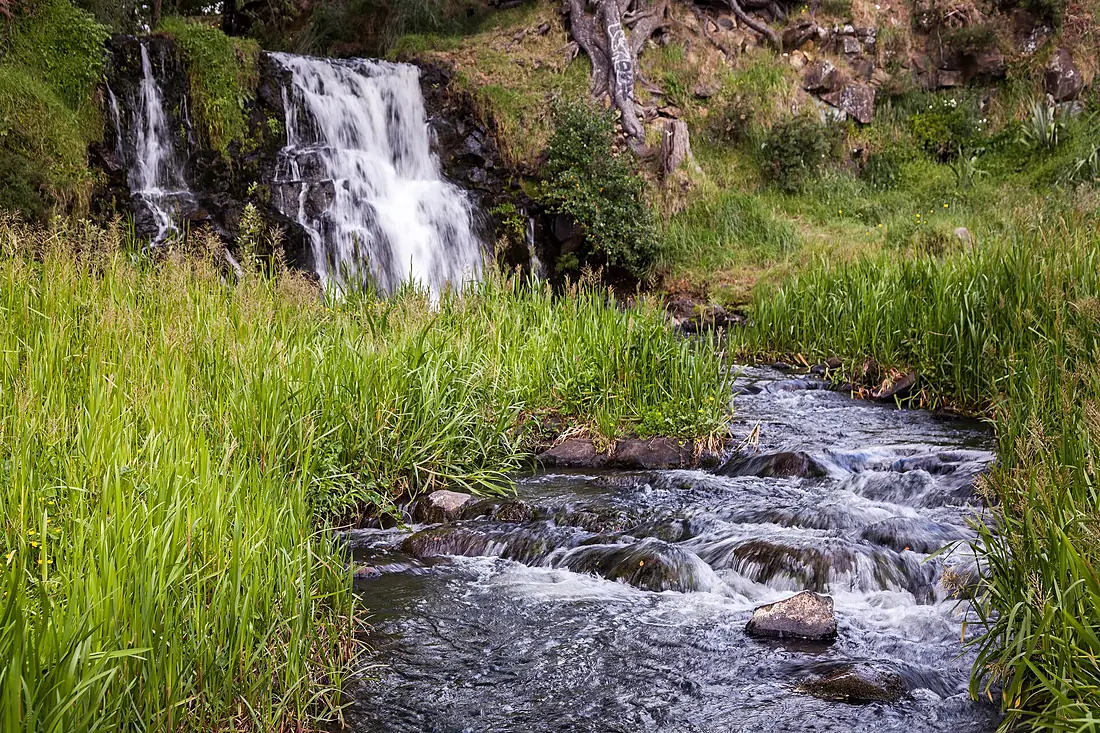 Waitangi Falls, Glen Brook, Auckland (2)