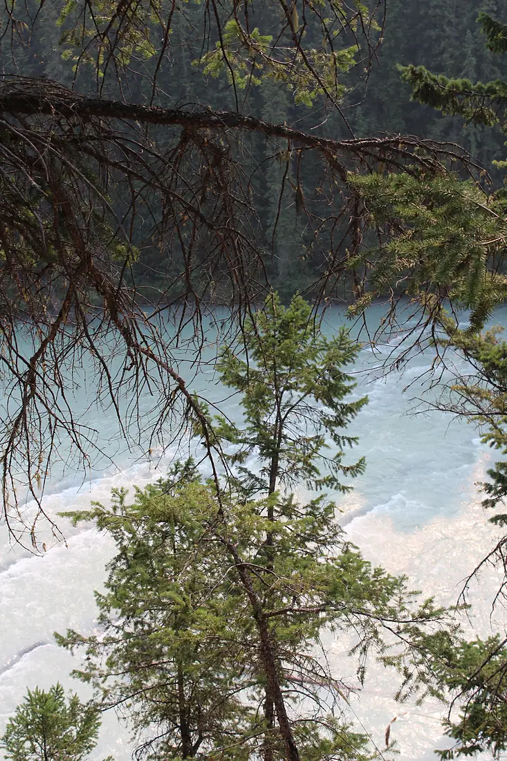 Wapta Falls IMG 4955