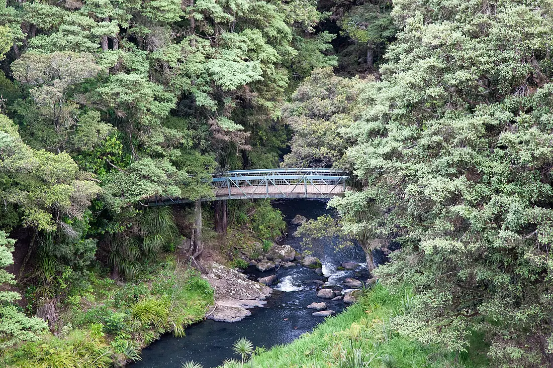 Footbridge, Whangarei Falls