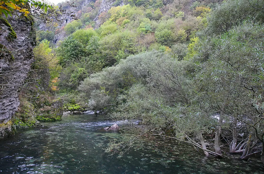 Bijelog Drima (Drina) 27. listopada 2011.